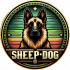 Sheepdogvalley