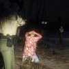 MisterPictureMJ