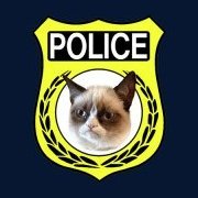 Officer Patrik