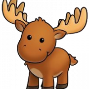 Raindeer