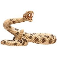 Rattlesnake