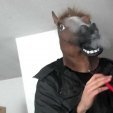 stonedhorsegaming