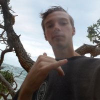 KrinkleKuts