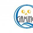 QQGaming