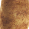 gopnikstew