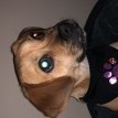 bobsbeans