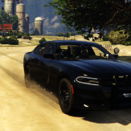 Officer Johnson12