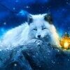Snowy The Fox