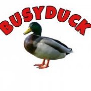Busyduck
