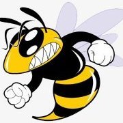 TheGamingHornet97