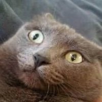 ArnoldBraunschweiger