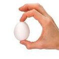 Egg2