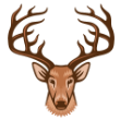 ELK