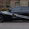 VictoriousScorpion
