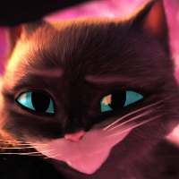 KittySoftPaws