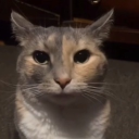 OldThebesttankkiller