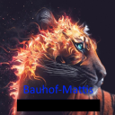 BauhofMattis
