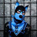 RickyTheRedFox