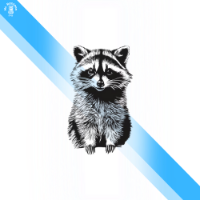 Mr.Raccoon