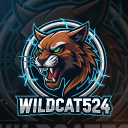 Wildcat Modifications