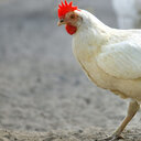 I want to go to sleep