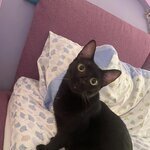 ivan.spano13