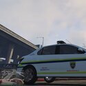 Slovenia police
