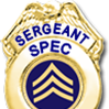 Spec Police