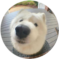 yodel