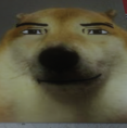 VONOX