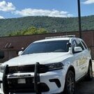 lspdfr65