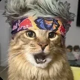 jackywacky