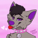 TrissieTheHusky