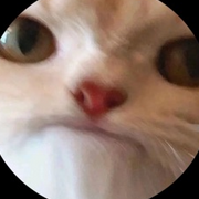jackywacky