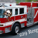 Flame2938