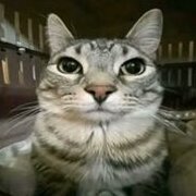 ItzCLIPZY