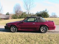 Mustangguy80