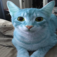 lucify