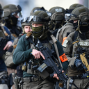 Terrorzwerg