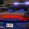 Trooper Williams